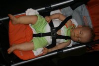 IMG_6985.JPG